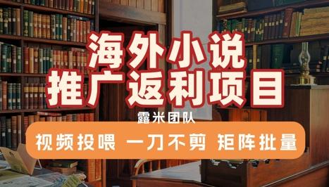海外小说推广返利项目，视频投喂， 一刀不剪，矩阵批量 图1
