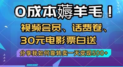 0成本薅羊毛!视频会员、话费卷、30元电影票白送,分享我如何靠转卖一天变现5张+【揭秘】 图1