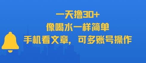 一天撸30+，像喝水一样简单，手机看文章，可多账号操作 图1