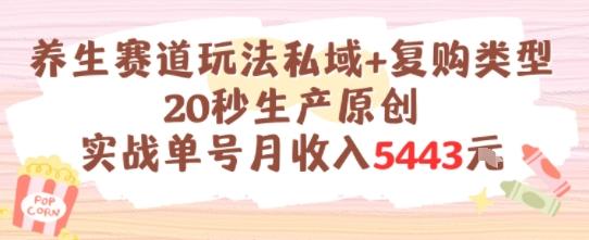 养生赛道玩法私域+复购类型，20秒生产原创实战单号月收入5k+ 图1