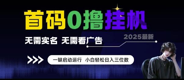 首码0撸挂G项目，无需实名无需看广告 一键启动运行，小白轻松日入三位数【揭秘】 图1