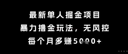 最新单人掘金项目，暴力撸金玩法，无风控，每个月多挣5k+【揭秘】 图1