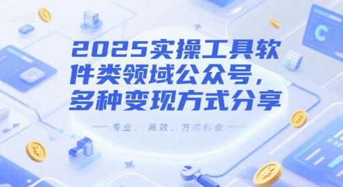 2025实操工具软件类领域公众号，多种变现方式分享 图1
