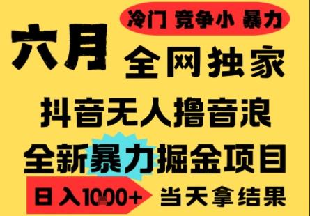 25年6月高爆抖音无人直播最新撸音浪掘金项目，小白可做，无脑日入1k+，门槛低可批量矩阵【揭秘】 图1