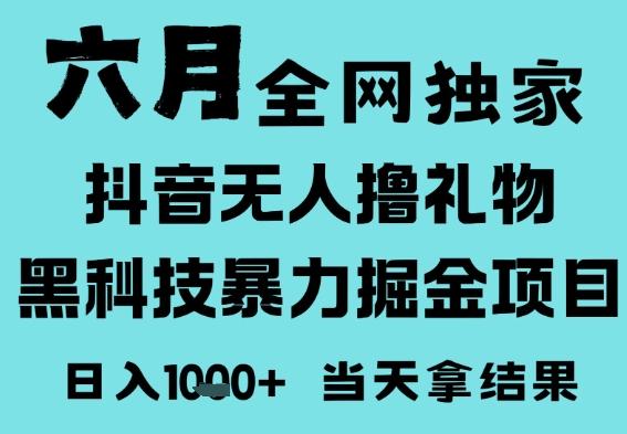 25年6月高爆抖音无人直播最新撸音浪掘金项目,门槛低小白可做,无脑日入1k,可矩阵放大【揭秘】 图1