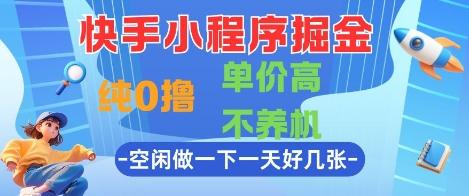 快手小程序掘金,纯0撸,单价高不养机 利用空闲时间做一做,一天好几张【揭秘】 图1