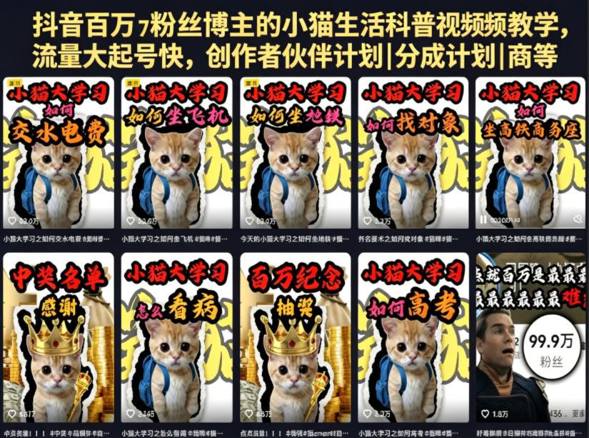 抖音百万粉丝博主的小猫生活科普视频教学，流量大起号快，创作者伙伴计划|分成计划|商单|收徒等 图1