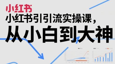小红书引流实操课，从小白到大神 图1