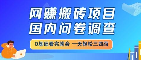 网创搬砖项目，国内问卷调查，小白轻松上手，一天三四张的也不难，干就完了【揭秘】 图1