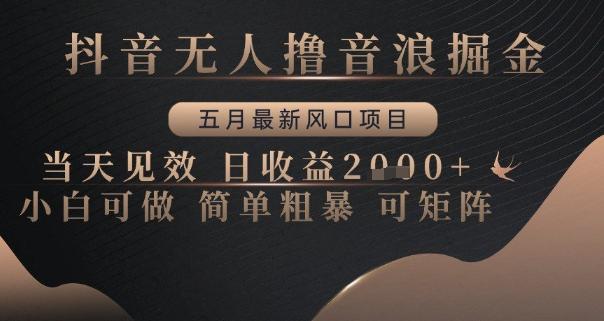 抖音无人撸音浪掘金,五月最新风口项目,当天见效,日收益多张,小白可做简单粗暴可矩阵【揭秘】 图1