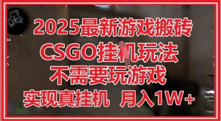 2025最新游戏搬砖，CSGO挂G，不需要玩游戏，实现真挂G，月入1W+【揭秘】 图1