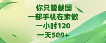 你只管截图，一部手机在家做，苹果安卓都可以，一天5张+【揭秘】 图1