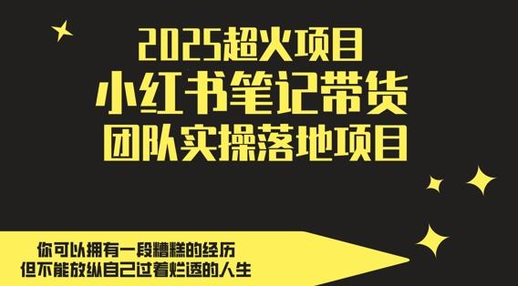 2025超火项目,副业最佳选择,小红书笔记带货团队实操落地项目,,轻松日入5张 图1