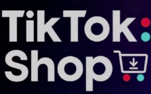 TikTokShop跨境电商0-1实战，手把手教你低成本启动海外市场（更新） 图1