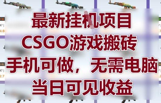 最新挂G项目,CSGO游戏搬砖,手机可做,无需电脑,当日见收益【揭秘】 图1