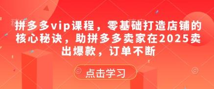 拼多多vip课程，零基础打造店铺的核心秘诀，助拼多多卖家在2025卖出爆款，订单不断 图1
