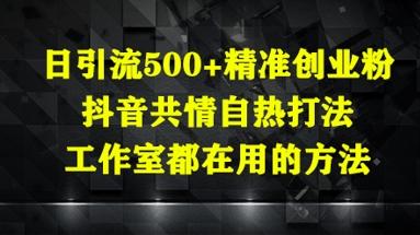 日引流500+精准创业粉,抖音共情自热打法,工作室都在用的方法 图1