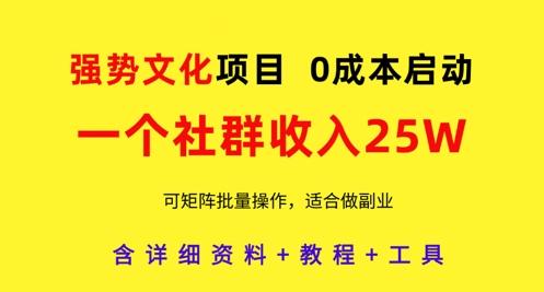 强势文化项目,一个社群收入25个W,0成本启动,可矩阵批量操作,原创详细实操教程 图1