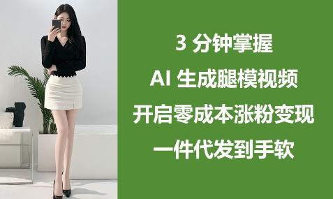 3分钟掌握AI生成腿模视频，开启零成本涨粉变现，一件代发到手软 图1