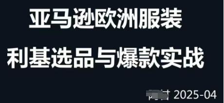 跨境电商选品案例24-25年，聚焦跨境电商选品策略与运营优化，助力卖家挖掘蓝海市场 图1