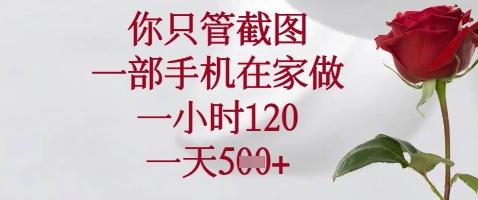 你只管截图，一部手机在家做，苹果安卓都可以，一小时120，一天5张+【揭秘】 图1