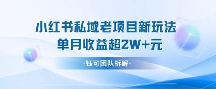 小红书私域项目新玩法,单月变现过W+ 图1