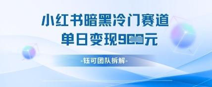 小红书冷门”暗黑”赛道，单日收益多张 图1
