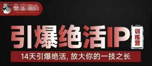 引爆绝活IP训练营,14天引爆绝活,放大你的一技之长 图1