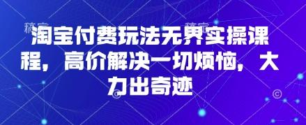 淘宝付费玩法无界实操课程,高价解决一切烦恼,大力出奇迹 图1
