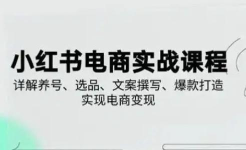 小红书从0-1实操课(2023-2025)，详解养号、选品、文案撰写、爆款打造实现电商变现 图1