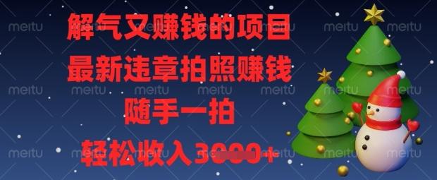 解气又挣钱的项目，最新违章拍照挣钱，随手一拍，轻松收入数张【揭秘】 图1