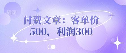 付费文章：客单价500，利润300 图1