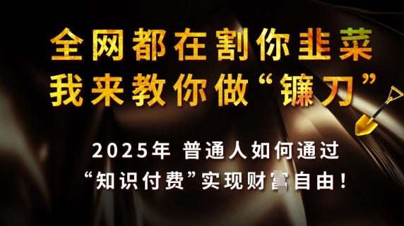 全网都在割你韭菜，我来教你做镰刀，2025普通人如何通过知识付费，实现财F自由【揭秘】 图1