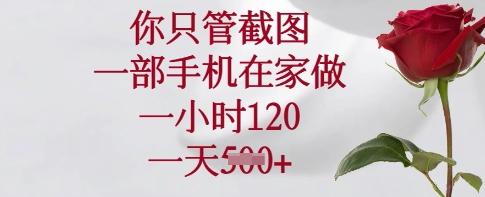 你只管截图，一部手机在家做，一小时120.一天5张【揭秘】 图1