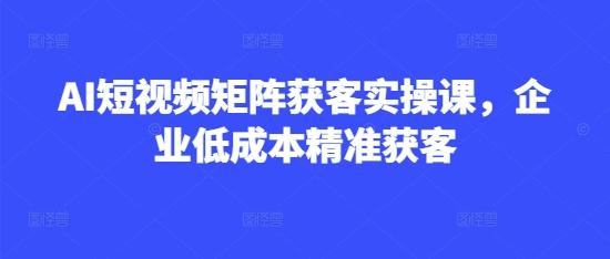 AI短视频矩阵获客实操课,企业低成本精准获客 图1