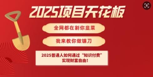2025项目天花板普通人如何通过知识付费,实现财F自由【揭秘】 图1