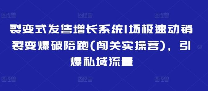 裂变式发售增长系统1场极速动销裂变爆破陪跑(闯关实操营)，引爆私域流量 图1
