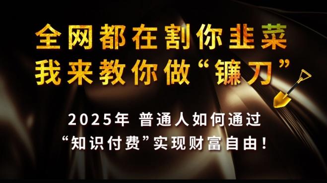 全网都在割你韭菜，我来教你做镰刀,2025普通人如何通过知识付费，实现财F自由【揭秘】 图1