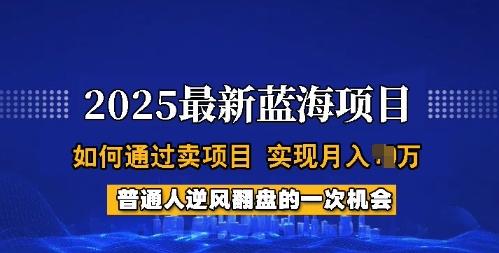 2025蓝海项目,普通人如何通过卖项目,实现月入过W,全过程【揭秘】 图1