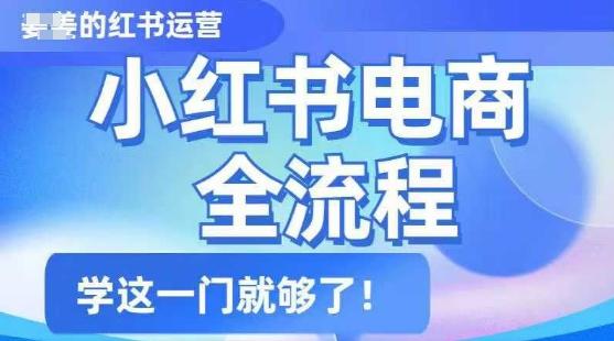 小红书电商全流程,精简易懂,从入门到精通,学这一门就够了 图1