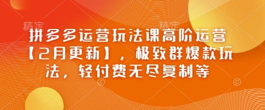 拼多多运营玩法课高阶运营【2月更新】,极致群爆款玩法,轻付费无尽复制等 图1