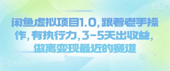 闲鱼虚拟项目1.0，跟着老手操作，有执行力，3-5天出收益，做离变现最近的赛道 图1