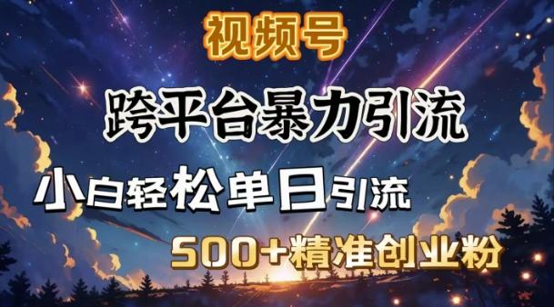 跨平台暴力引流,私域完美闭环,日引500+精准创业粉 图1