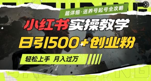 2月小红书最新日引500+创业粉实操教学【超详细】小白轻松上手,月入1W+,附小红书养号起号SOP 图1