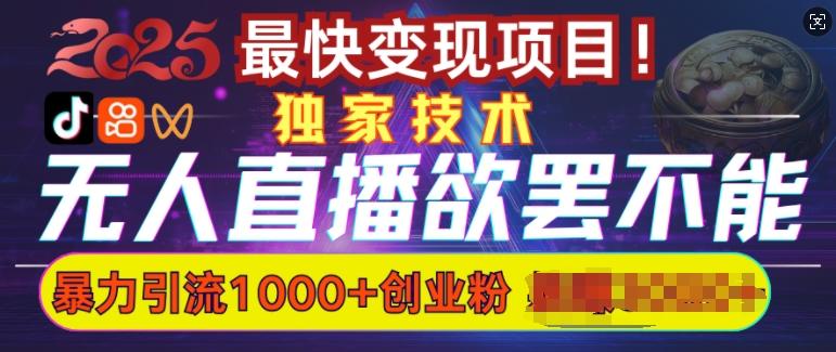 欲罢不能的无人直播引流,超暴力日引流1000+高质量精准创业粉 图1
