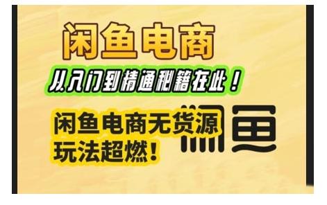 闲鱼电商实战课,从入门到精通秘籍在此,闲鱼电商无货源玩法超燃! 图1