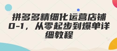 拼多多精细化运营店铺0-1,从零起步到爆单详细教程 图1