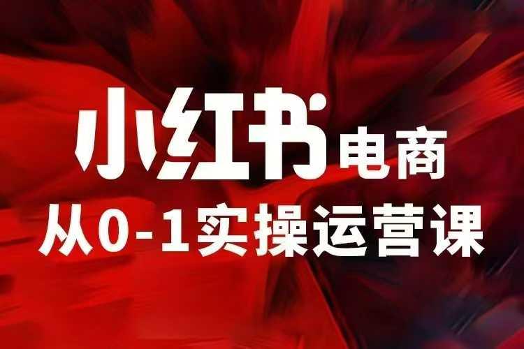 小红书电商运营，97节小红书vip内部课，带你实现小红书赚钱 图1