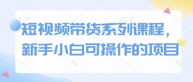 短视频带货系列课程,新手小白可操作的项目 图1