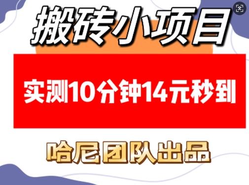 搬砖小项目,实测10分钟14元秒到,每天稳定几张(赠送必看稳定) 图1